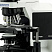 OLYMPUS BX43